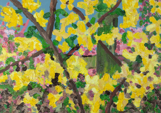 Forsythia of the Melyn Haul (Print)