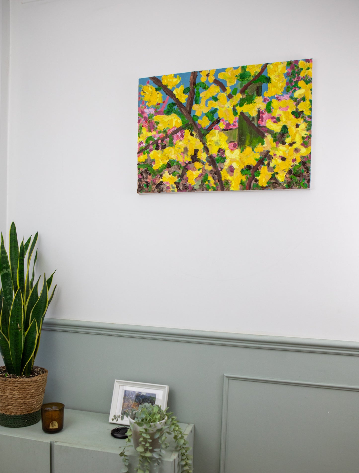 Forsythia of the Melyn Haul